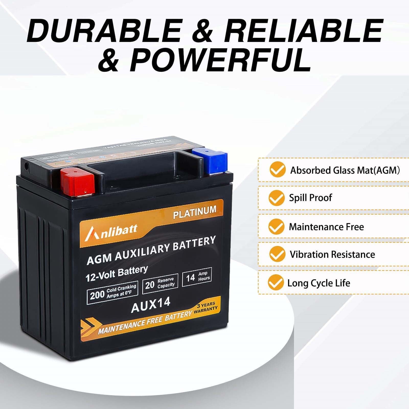 Anlibatt Platinum AGM Group 49 Battery, 12 Volt Rechargeable Automotive Batteries for Car, H8 900CCA 95Ah 160RC